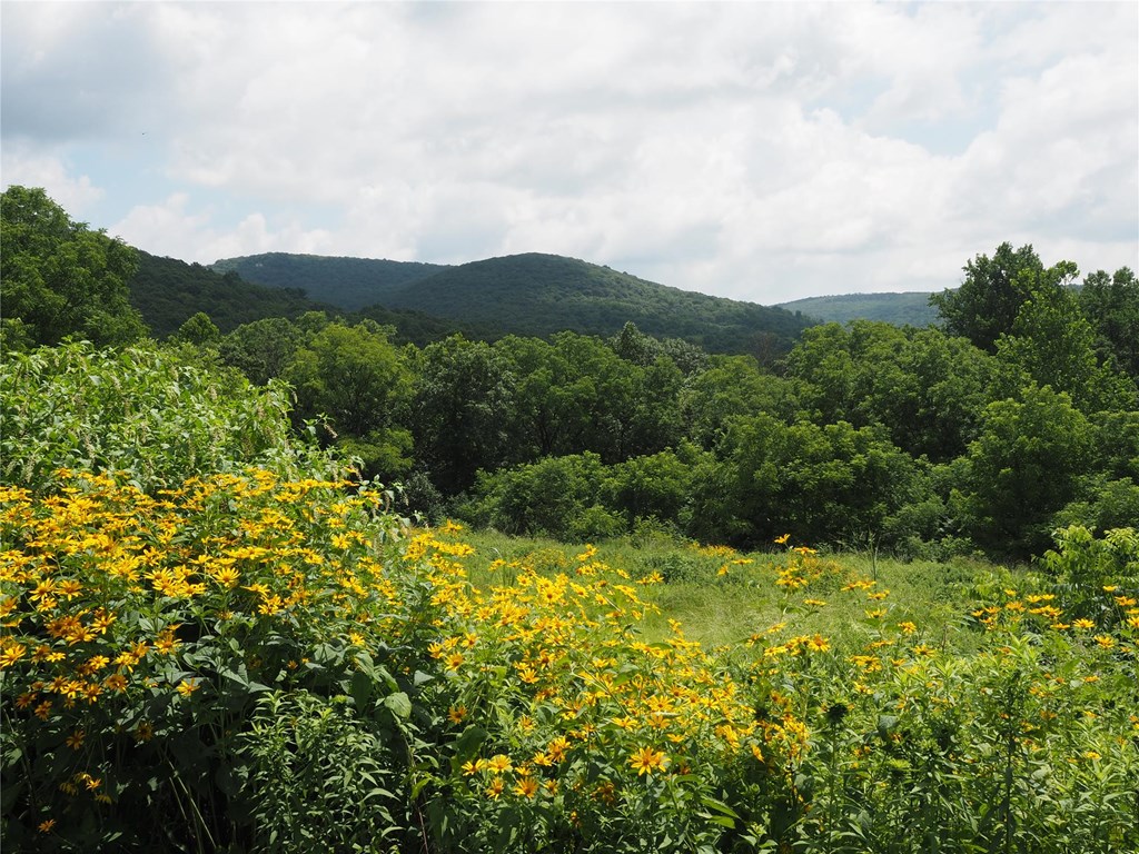 View of mountains and wildflower fields from the Acopian Center
