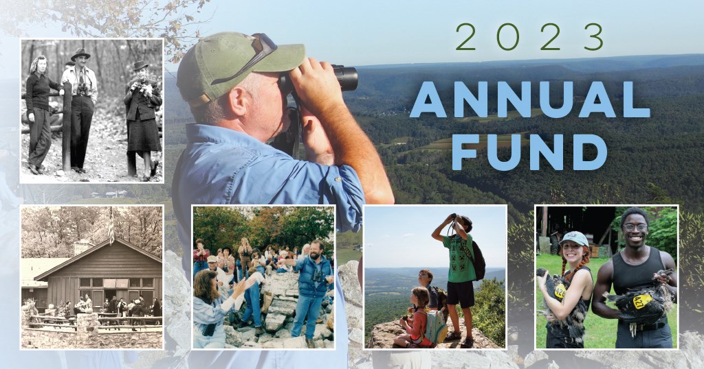 2023 Annual Fund Graphic