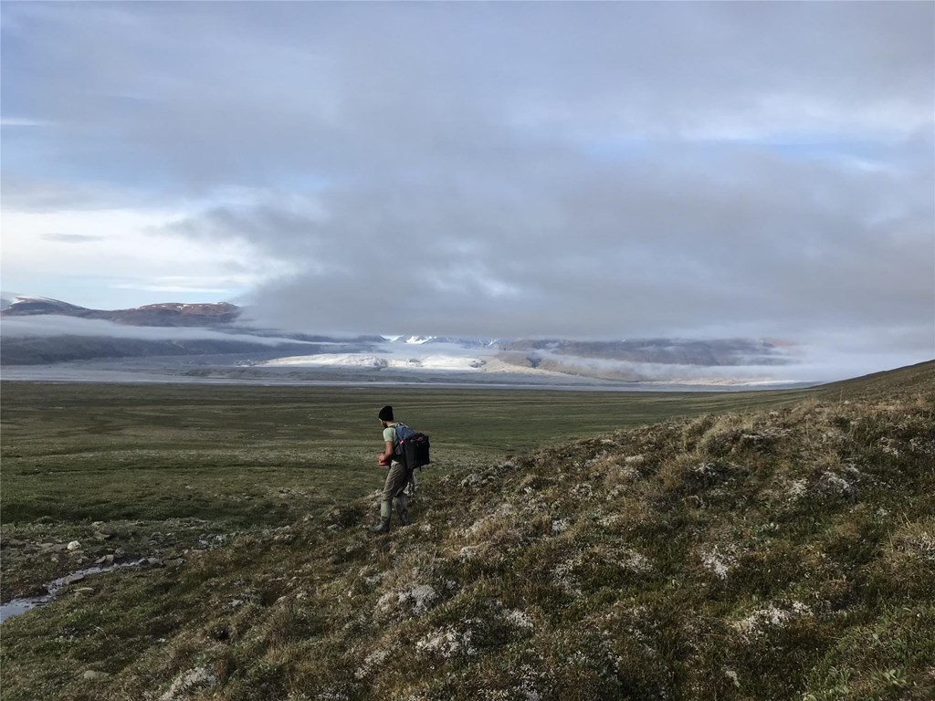 Senior Scientist Dr. JF Therrien hiking across terrain in the Arctic on Bylot Island