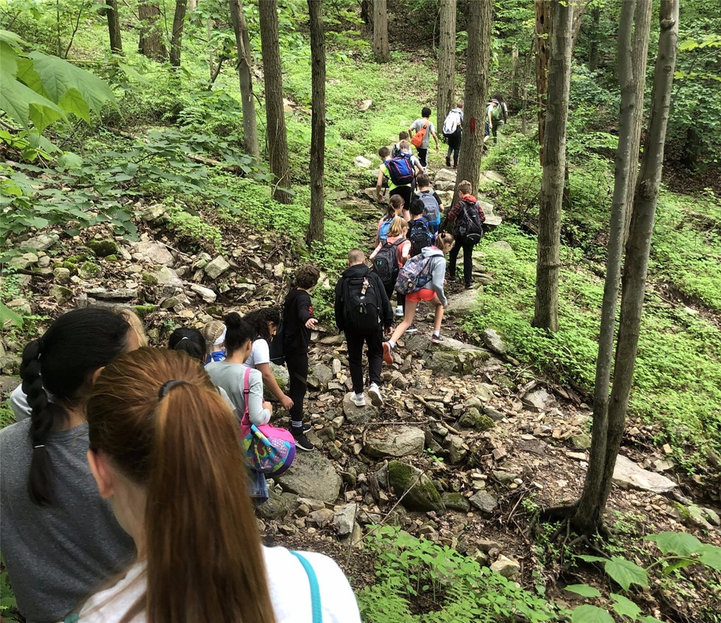Students hiking on a forest trail