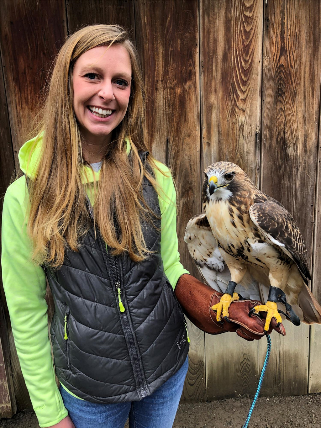 Volunteer Kelsey Schwenk with our education red-tailed hawk