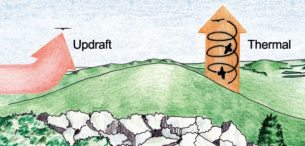 Hawk Mountain Thermals and Updrafts