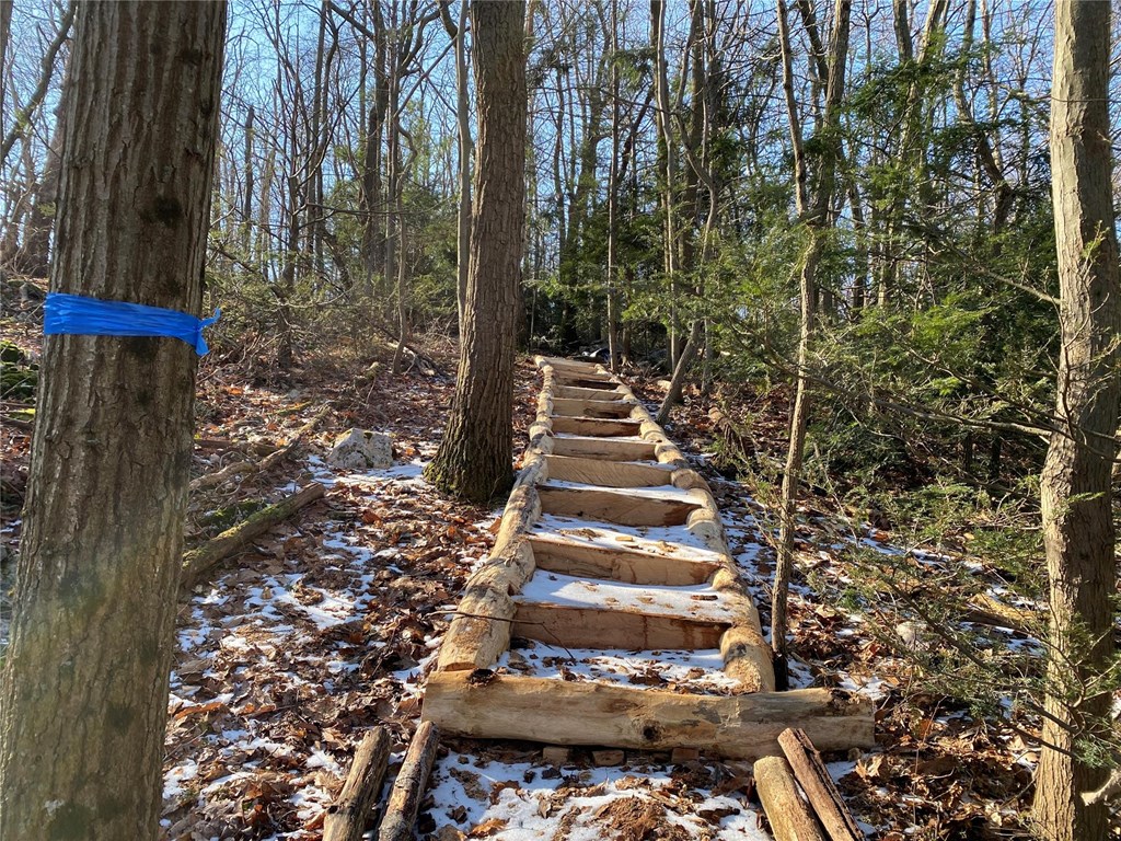 New Skyline Trail Steps