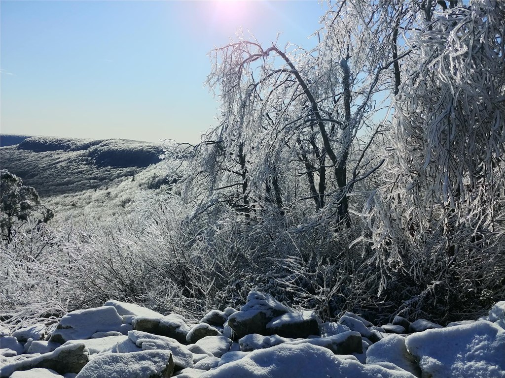 Ice-covered North Lookout