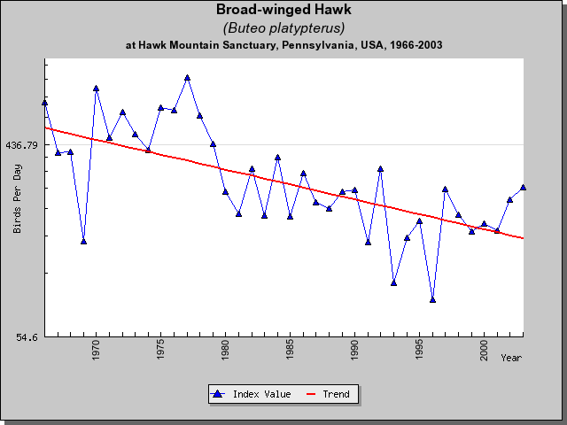 Broad-winged HM Sightings