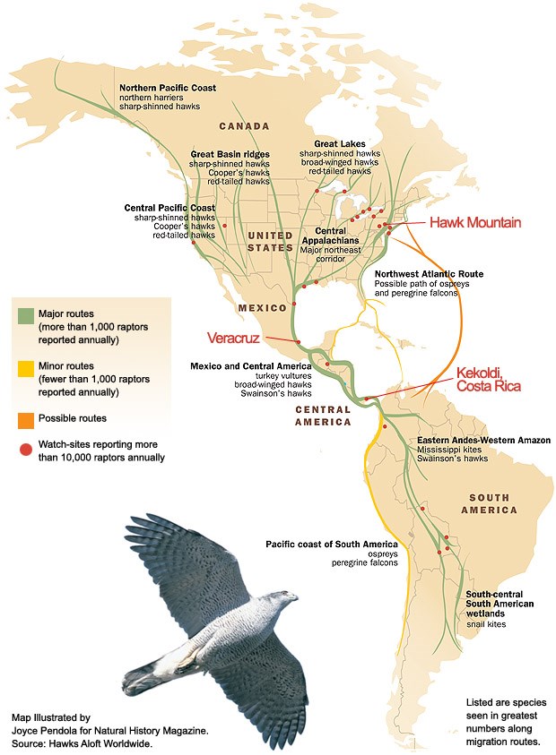 Map of Corridor Watchsites in North and South America