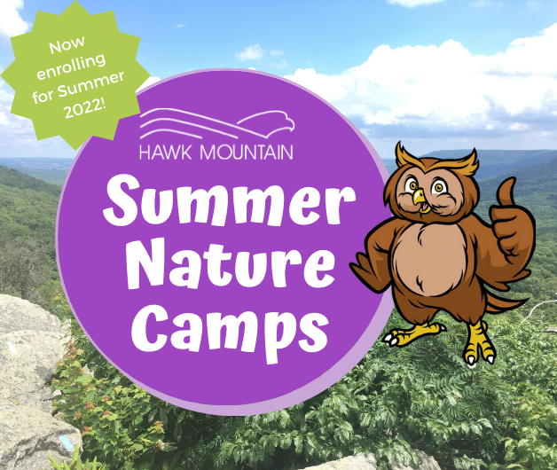 Now Enrolling for Hawk Mountain’s 2022 Summer Nature Camps Hawk
