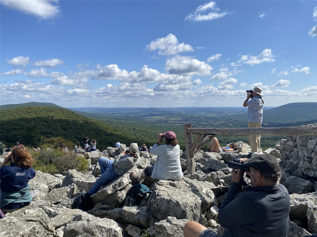 Counters and Visitors at North Lookout