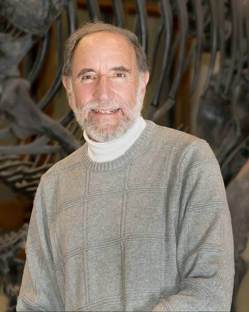 Daniel Rubenstein