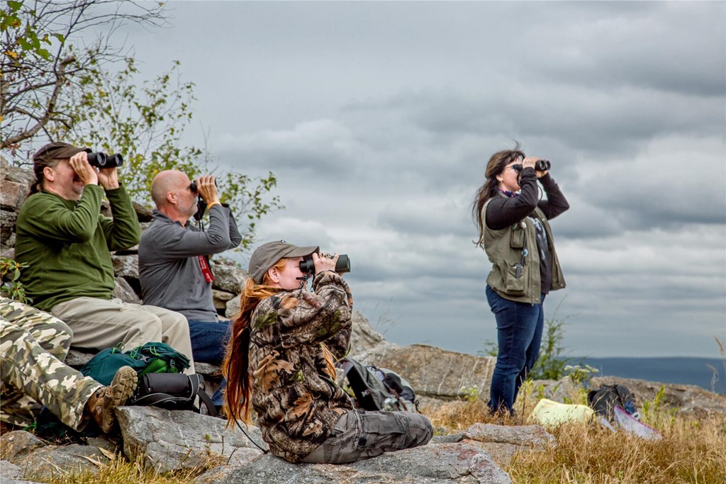 Raptor Field Course Hawkwatching