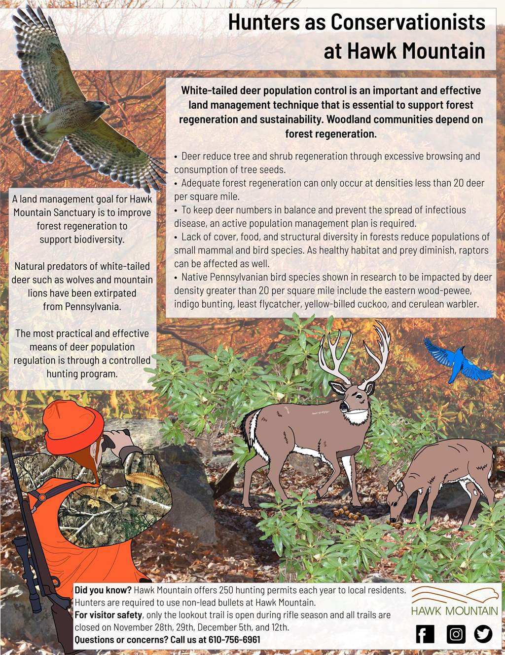 Hunters as Conservationists: Get the Lead Out!