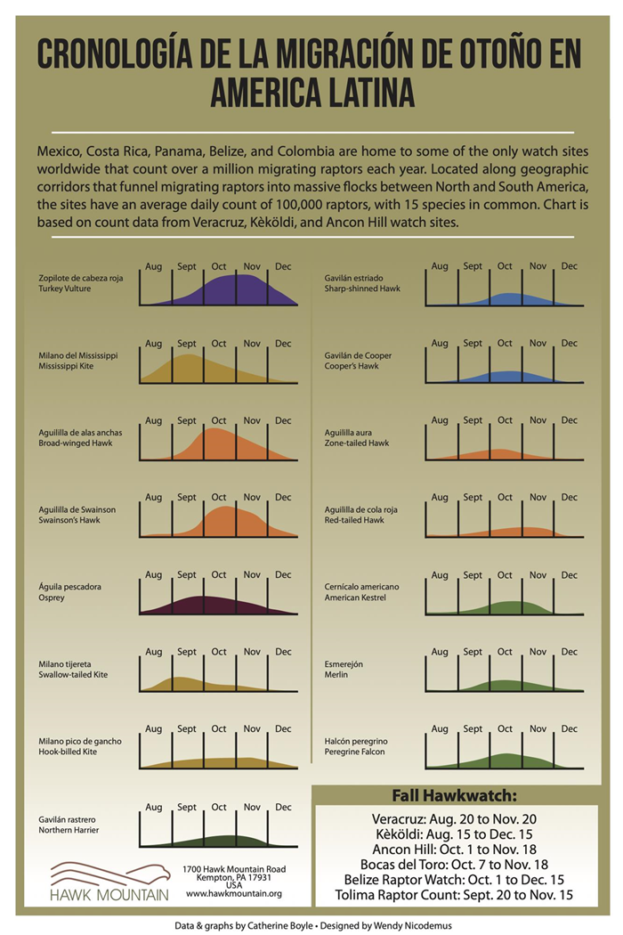 Fall Migration Timing Chart for Latin America