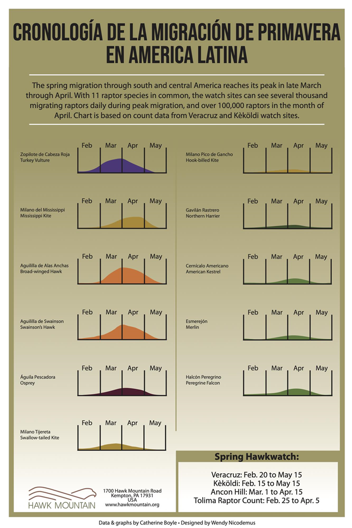 Spring Migration Timing Chart in Latin America