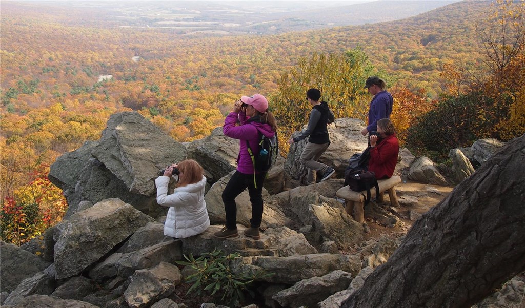 Visitors hawk watching from South Lookout in the fall.