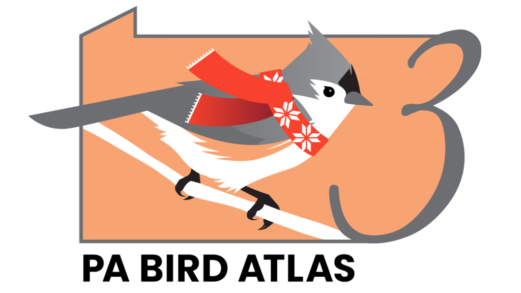 PA Bird Atlas Winter Logo