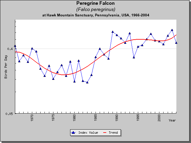 Peregrine Falcon HM Sightings