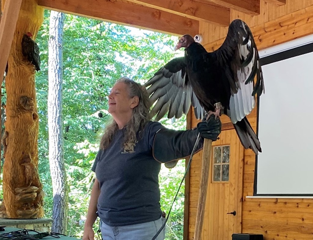 IVAD vulture presentation, turkey vulture on presenter's arm