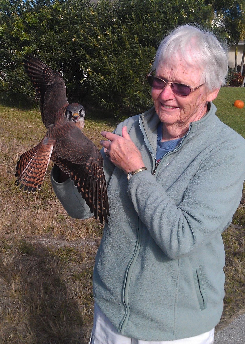 Sue Robertson with an American Kestrel