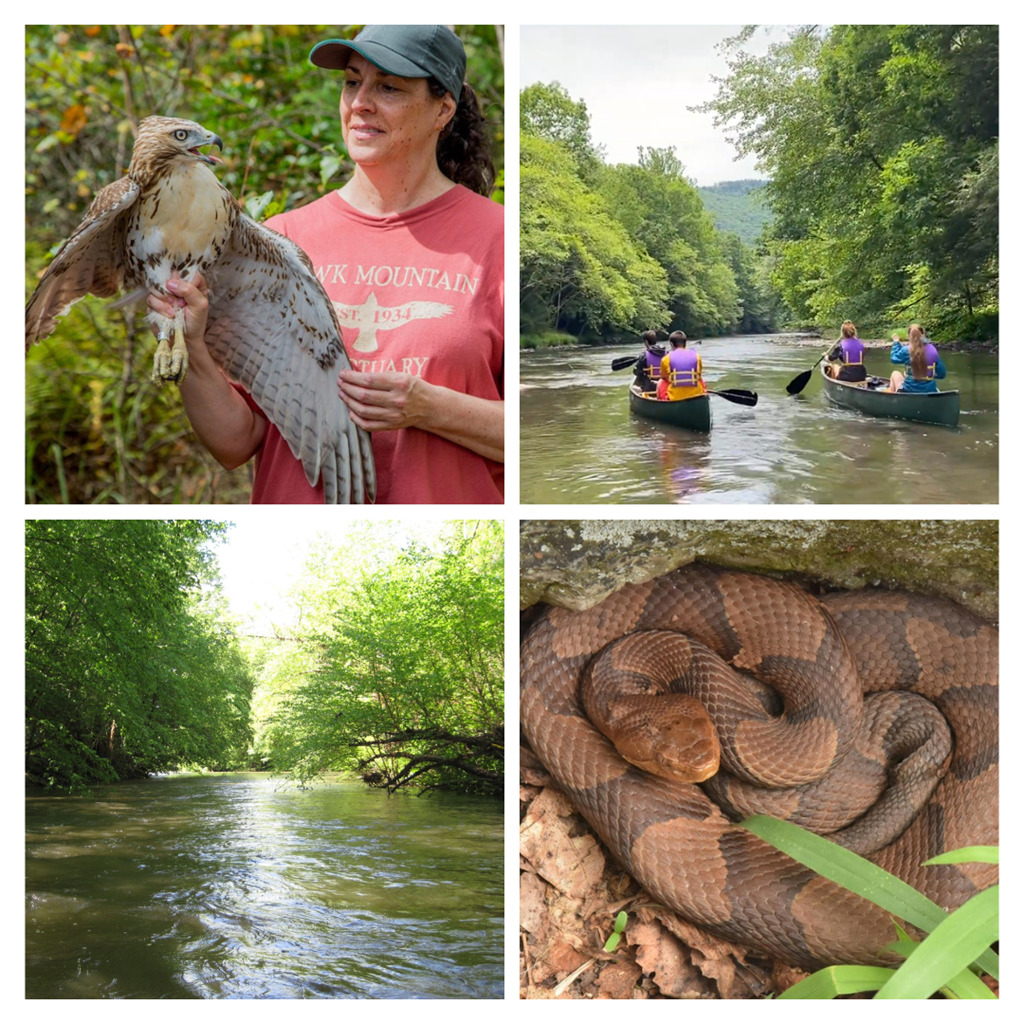 A Variety of Summer Field Courses Offered in 2023