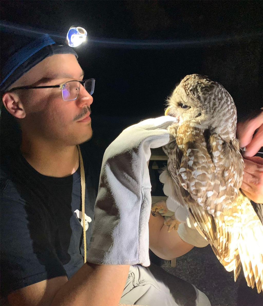 Thierry Grandmont examining a Barred Owl