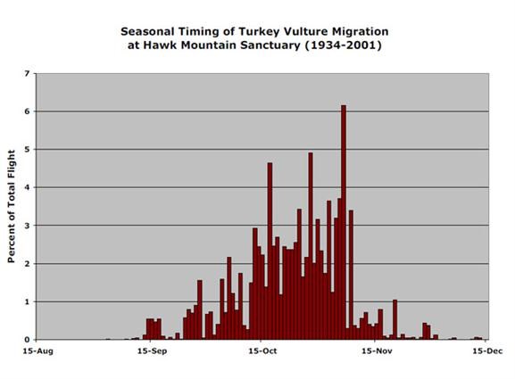 Turkey vultures returning from annual migration - Niagara-on-the-Lake Local