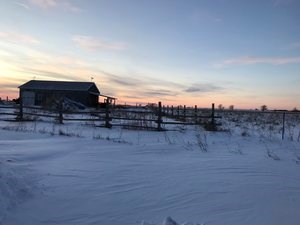 The view on Amherst Island