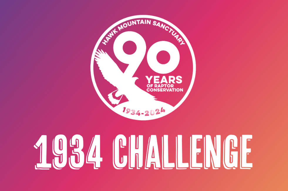 1934 Challenge Graphic