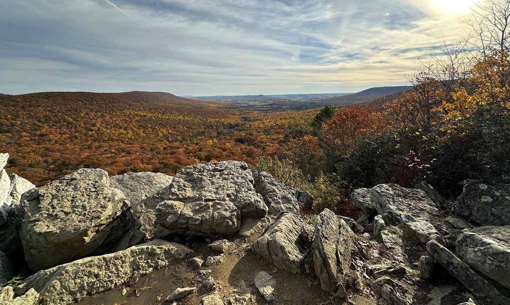 Autumn at South Lookout