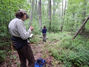 becca and zach recording data