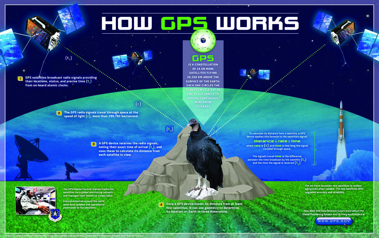 Gps tracker 2024 for bird