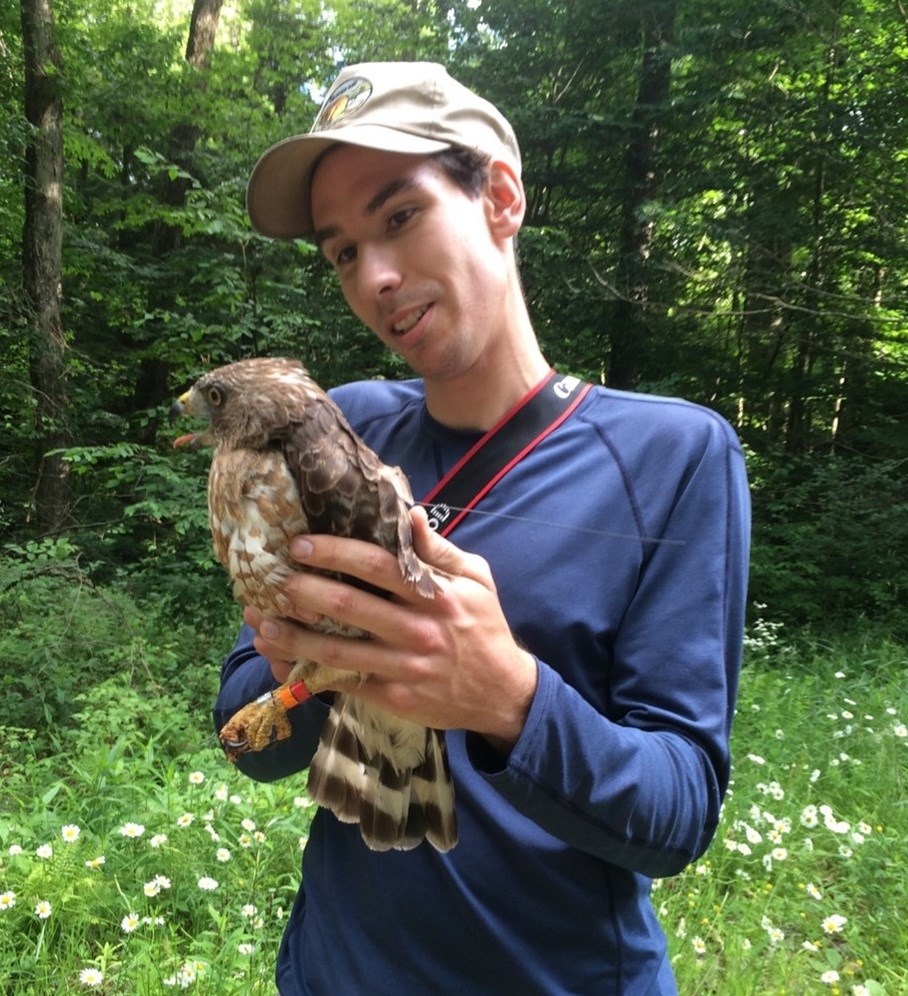 Zach Bordner with Tagged Broad-winged Hawk