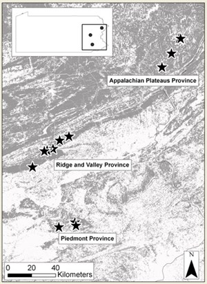 broadwing nest map