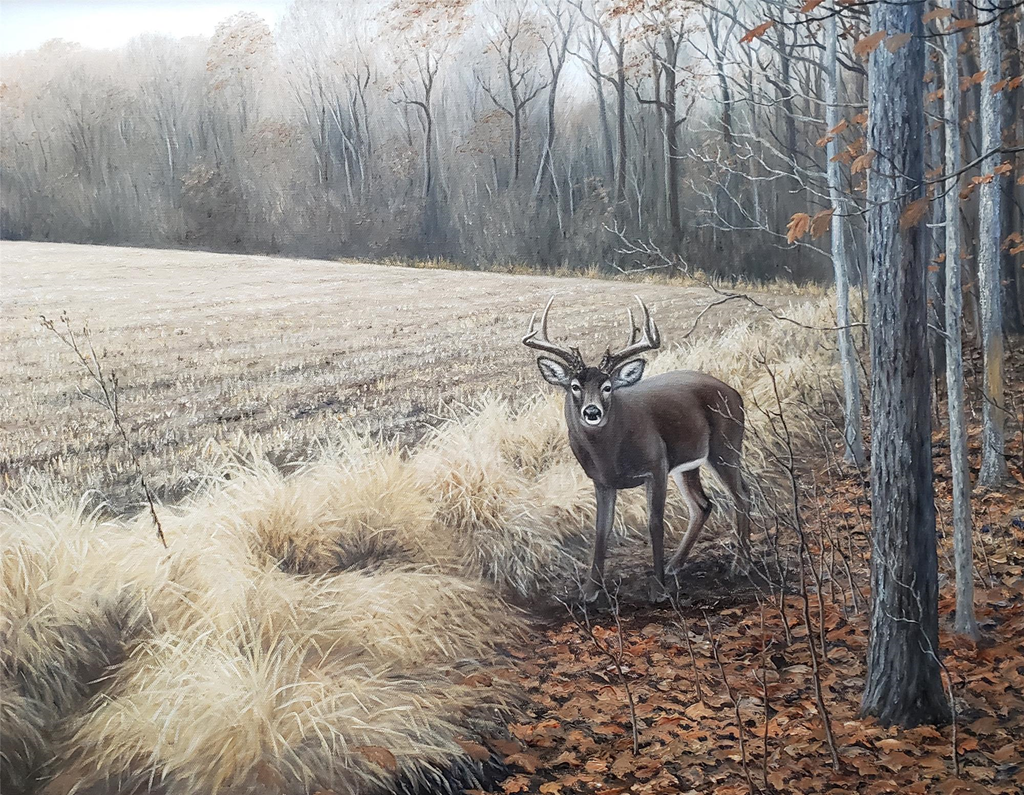 Wildlife Art by Dan Christ