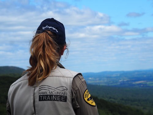 Christine looks out over the ridge from her post at North Lookout