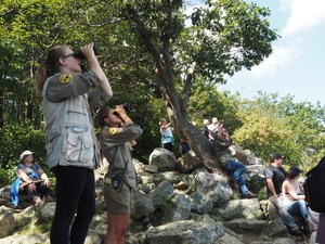 Christine and a fellow trainee identify passing raptors for visitors at South Lookout