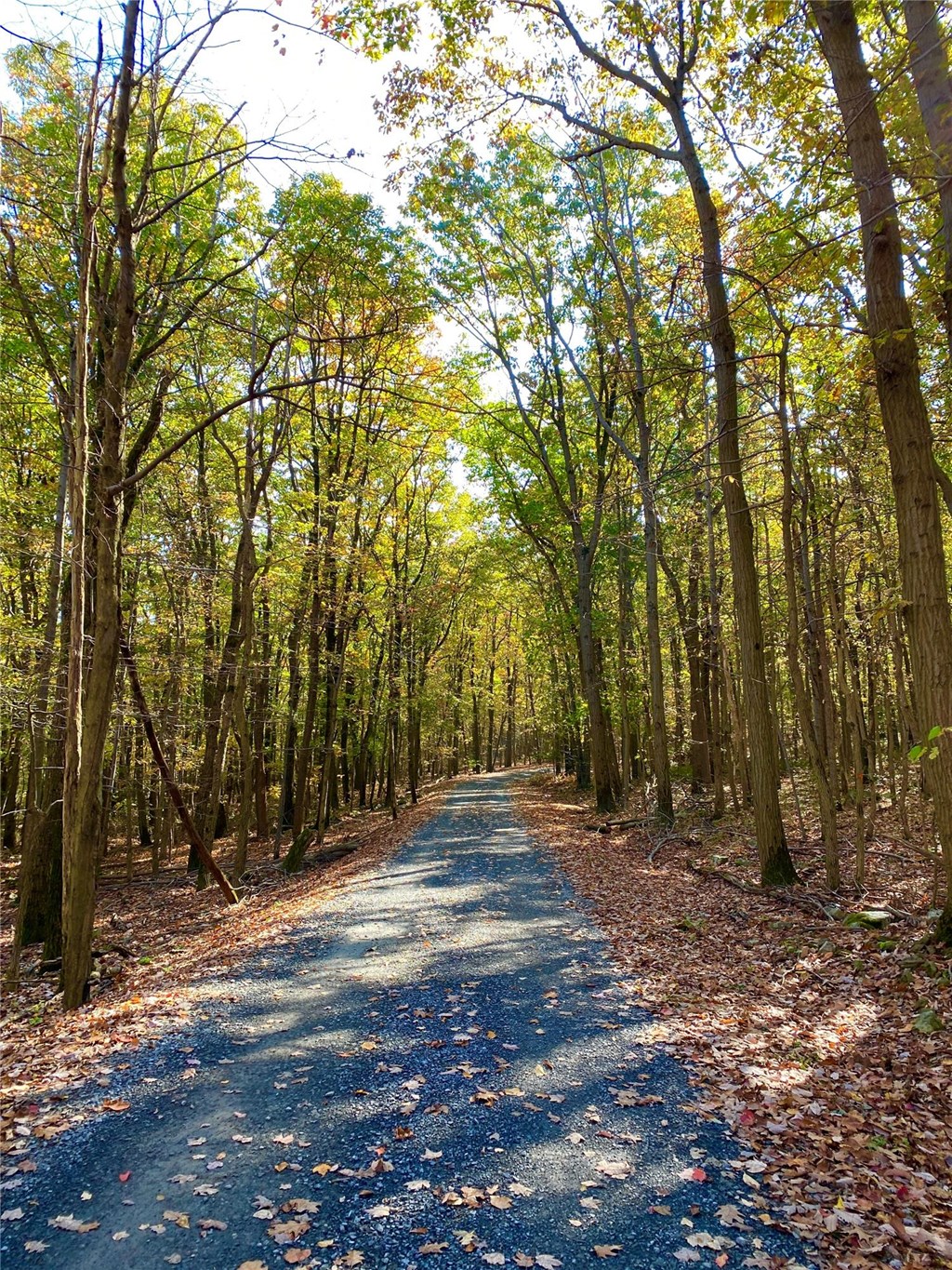 Trail in Early Autumn