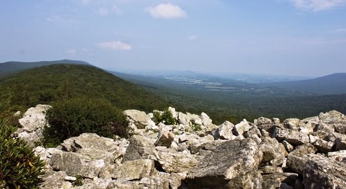 Lookout by Abby