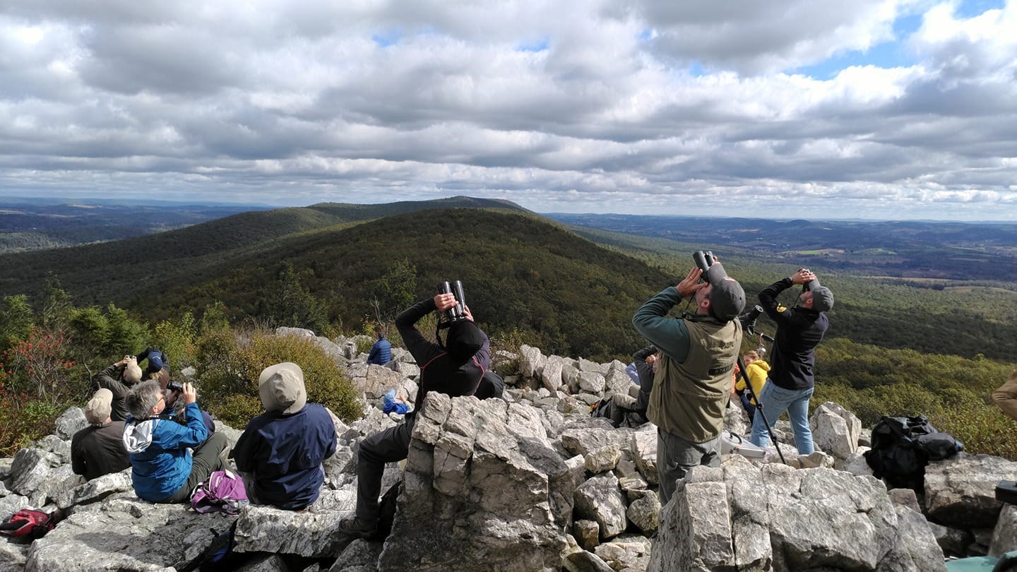 Give | Hawk Mountain Sanctuary: Learn Visit Join