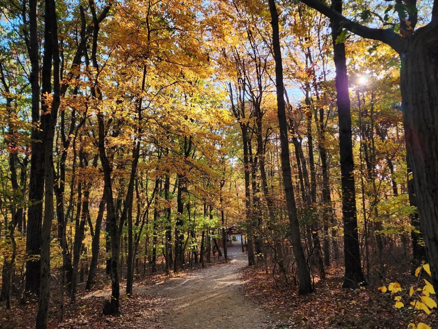 Hawk Mountain Trick or Treat Trail Hawk Mountain Trick or Treat Trail