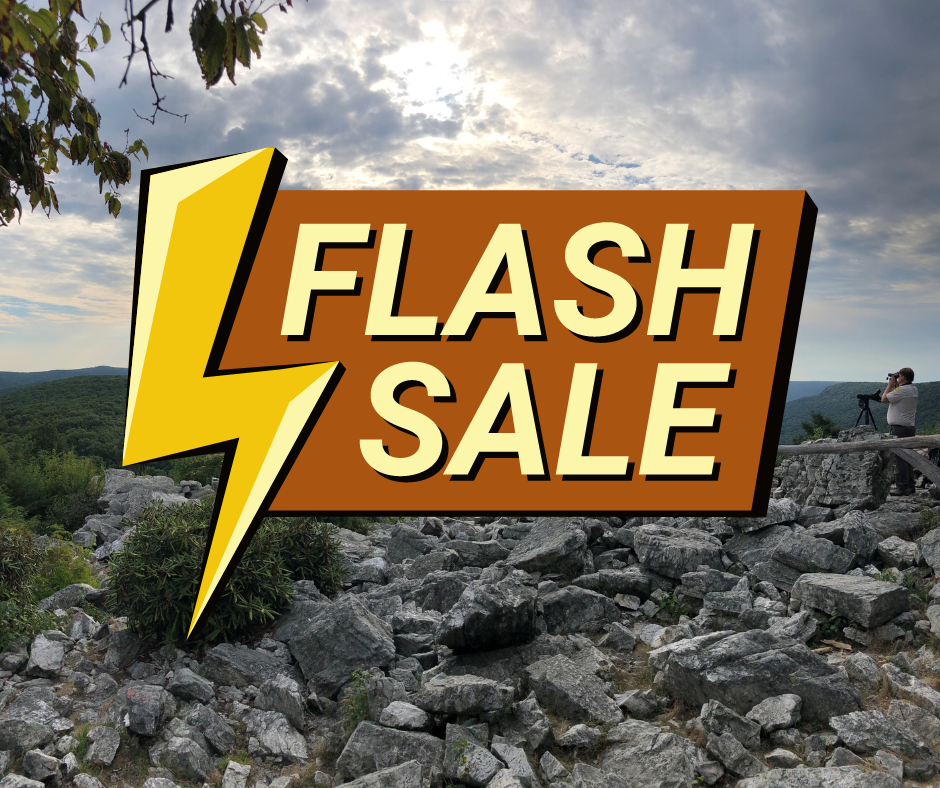 Flash Sale