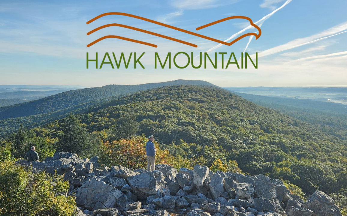 Hawk Mountain Sanctuary: The Past, Present, and Future of Global Raptor Conservation Hawk Mountain Sanctuary: The Past, Present, and Future of Global Raptor Conservation