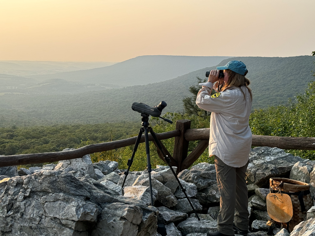 Laurie Goodrich hawkwatching at North Lookout, photo by Todd Bauman