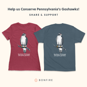 norrthern goshawk t shirt 