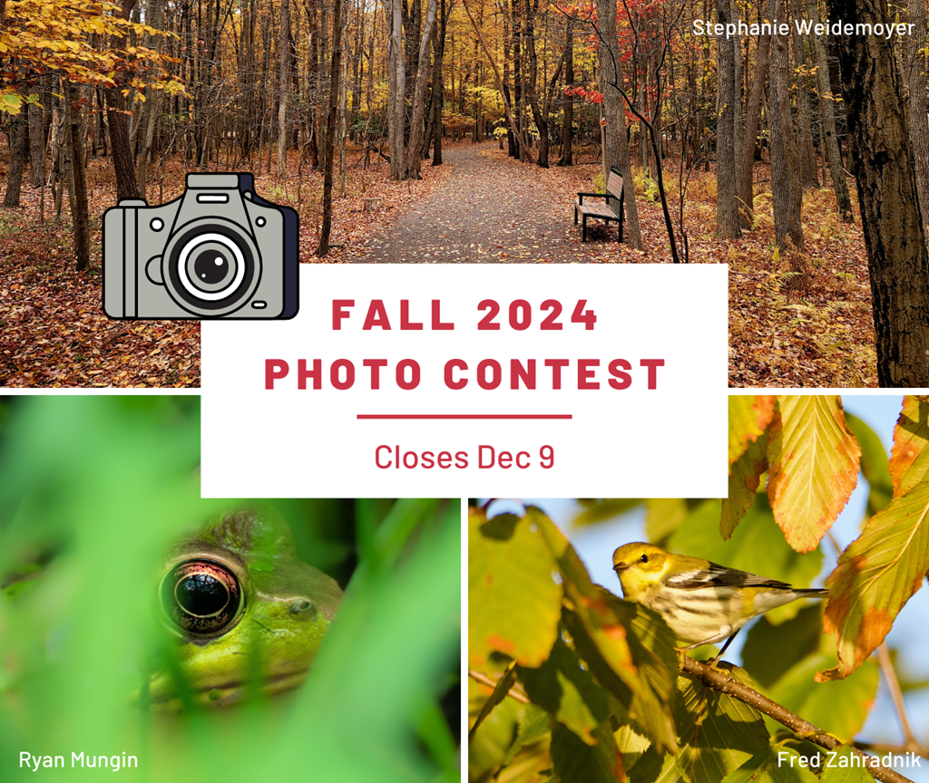 Fall 2024 Photo Contest Graphic