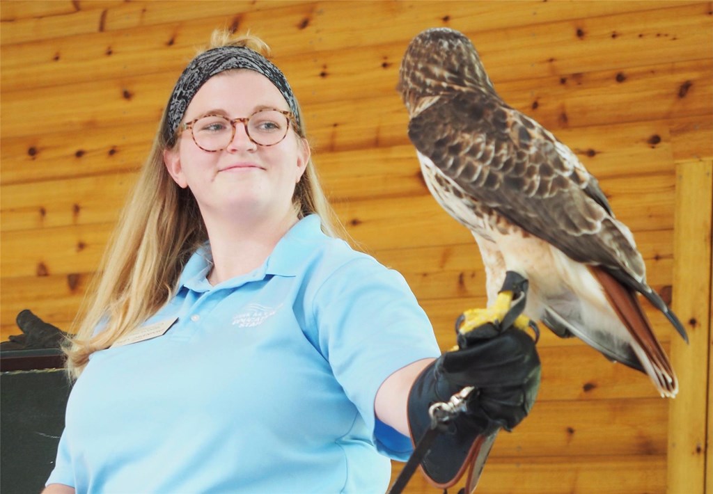 HAWK MOUNTAIN SANCTUARY  Hawk Mountain Sanctuary: Learn Visit Join