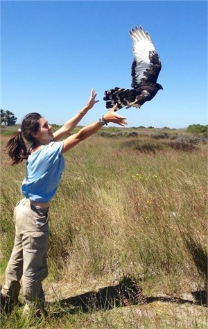 Sophie with black harrier