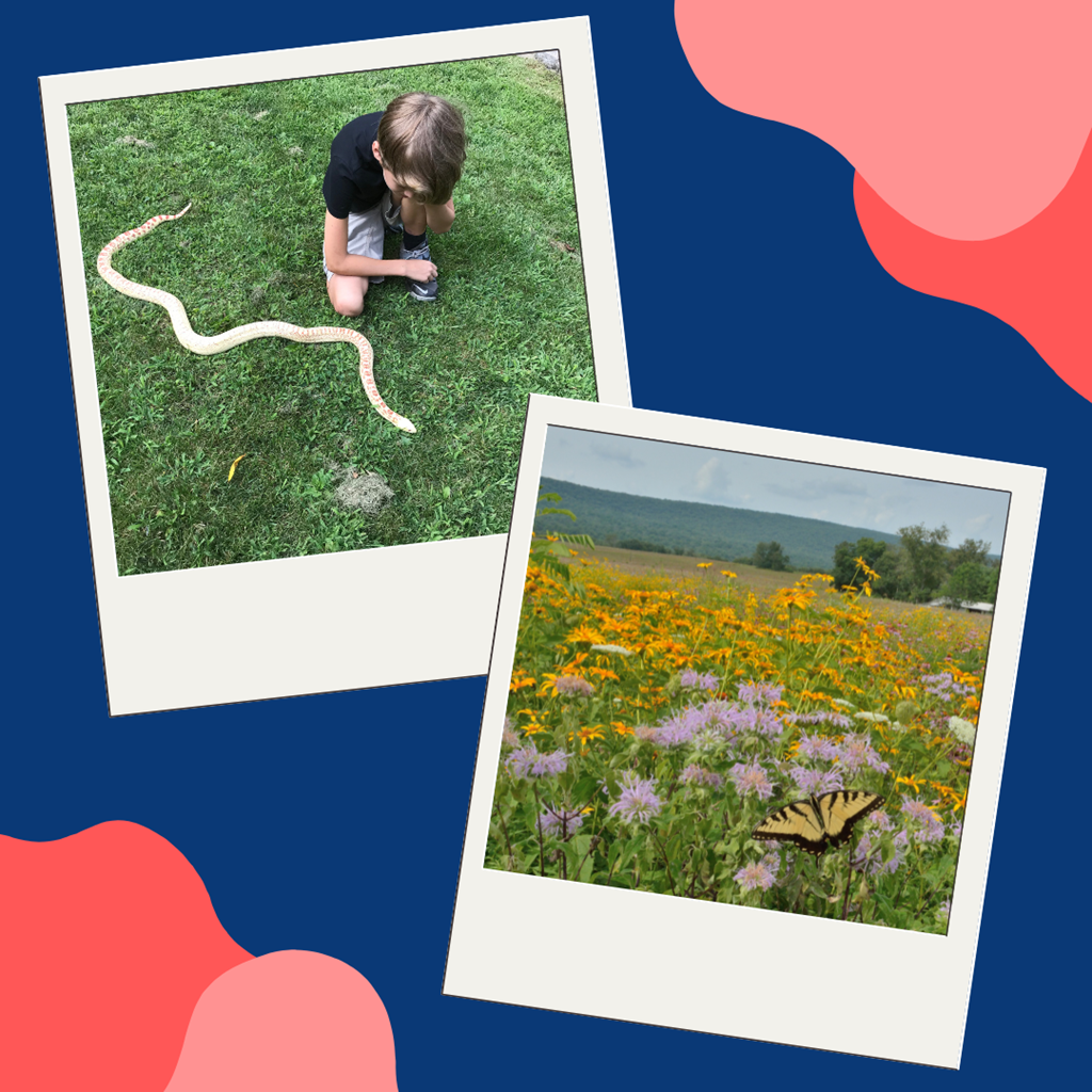 Child looking at a snake crawling through the grass, landscape view of a wildflower field