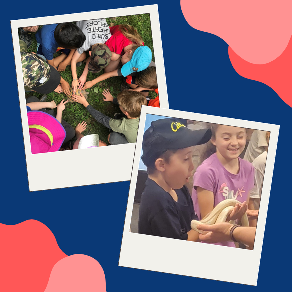 Children petting a turtle and holding a snake