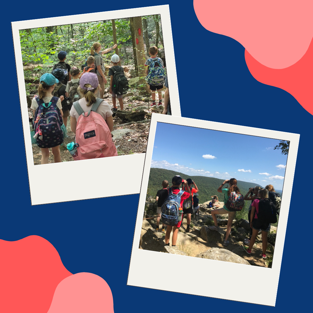 Children Hiking through Hawk Mountain Trails and Lookouts