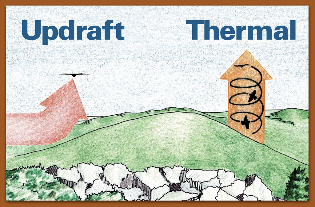 An Illustration of Birds Traveling on Updrafts vs. Thermals